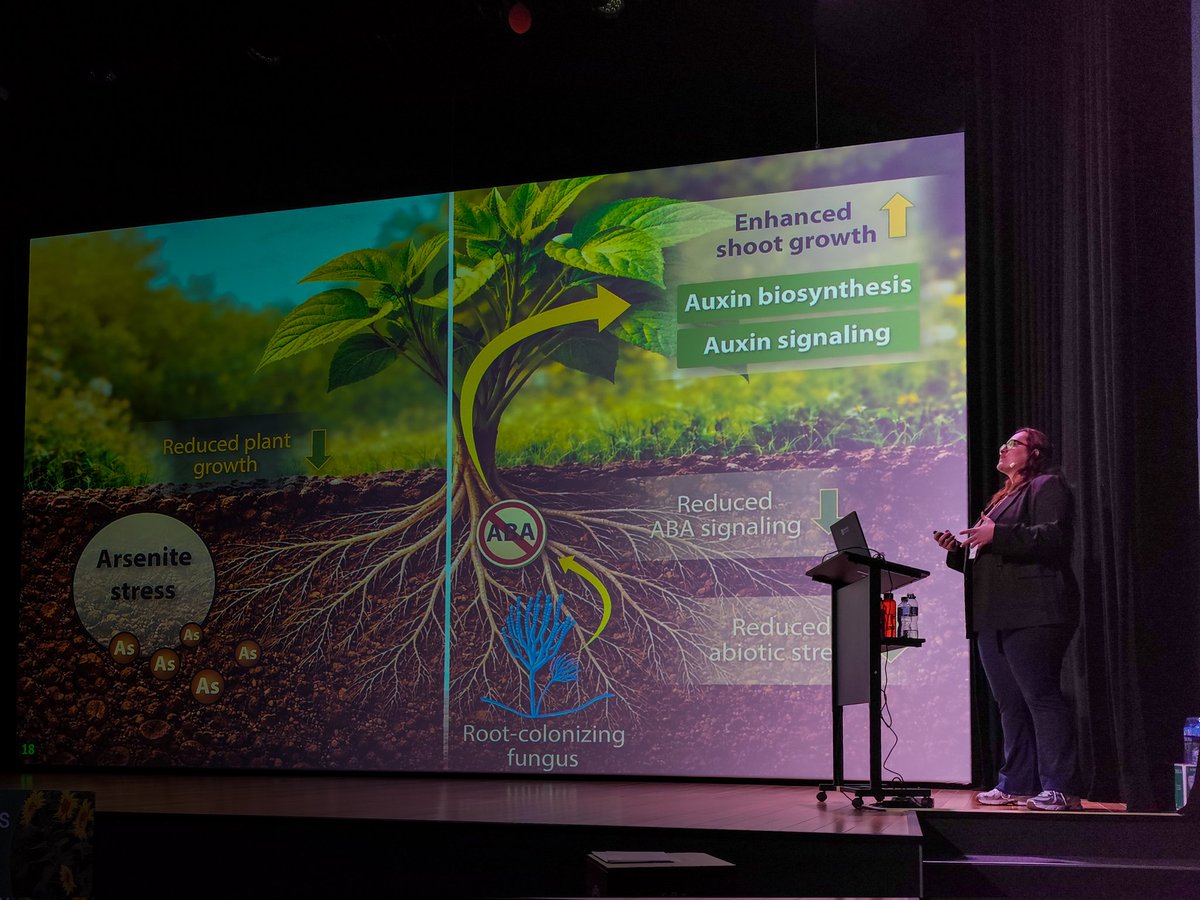 Stephan Pollmann / @stephanpollmann.bsky.social tweet media