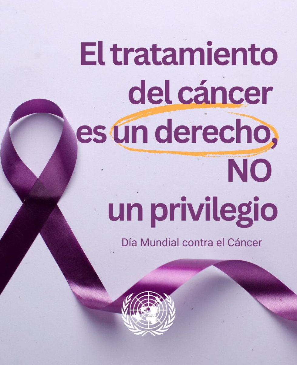 RarasNoInvisibles tweet media