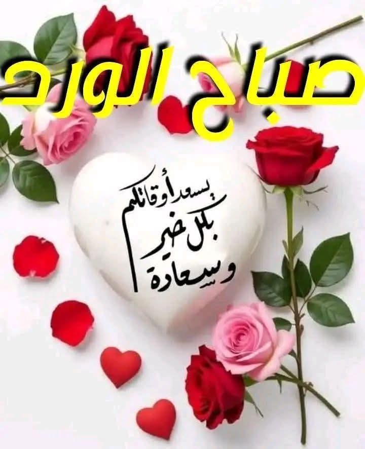 Alahlawy1907 tweet media