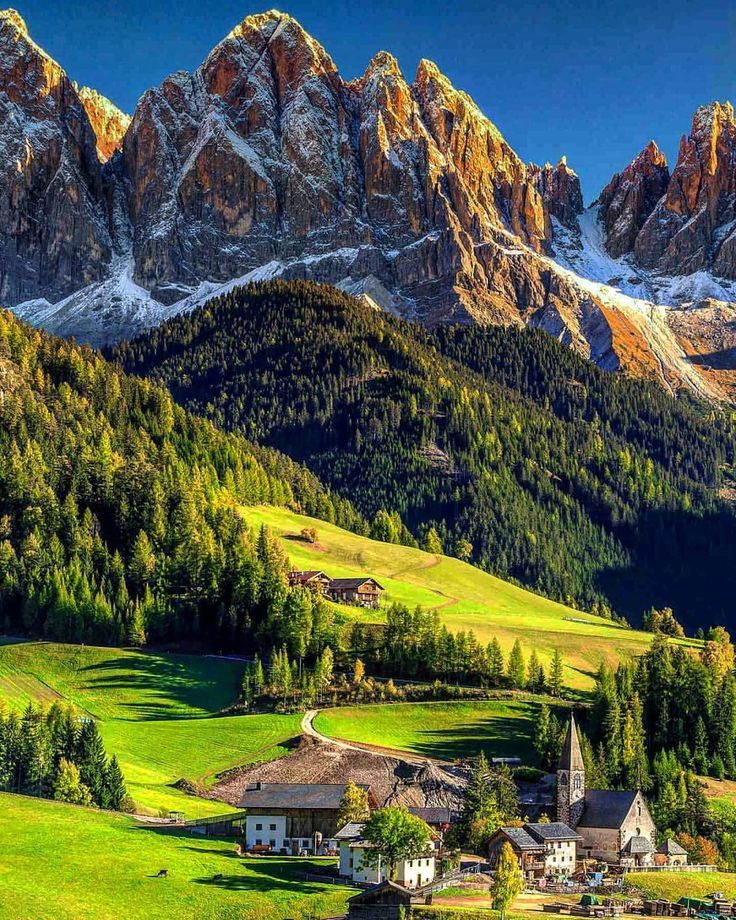 WorldPerson🌍🤍💜🖤❤️ tweet media