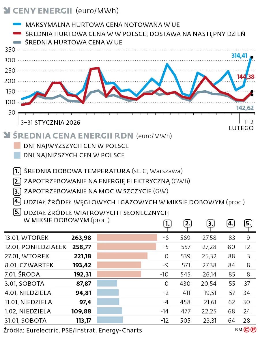 Marceli Sommer tweet media