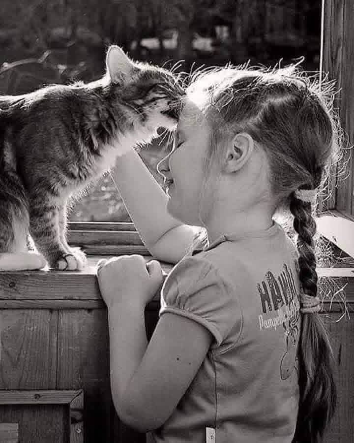 لہٰؤيٰ tweet media