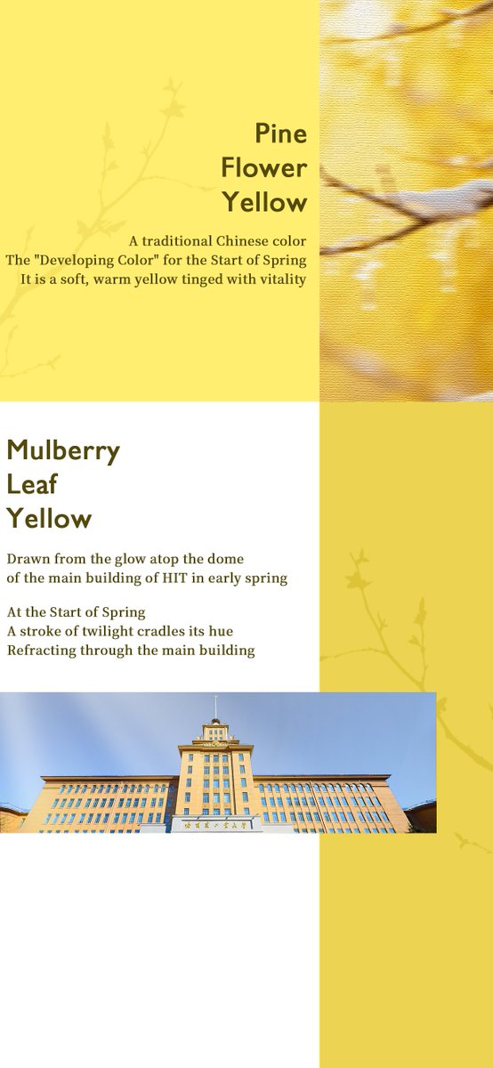 Today is the "Start of Spring", the first of the #24SolarTerms on the Chinese calendar. 

It symbolizes the nascent revival of all living things.

#HarbinInstituteofTechnology
