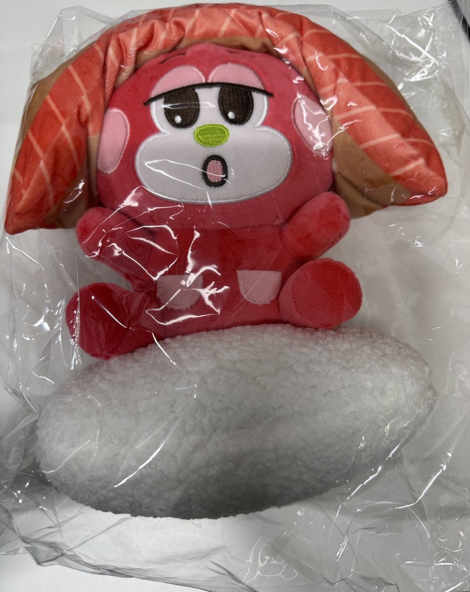 RIIZE RIIZE らいずし🍣リズコぬいぐるみと ショウタロウのひつまぶし