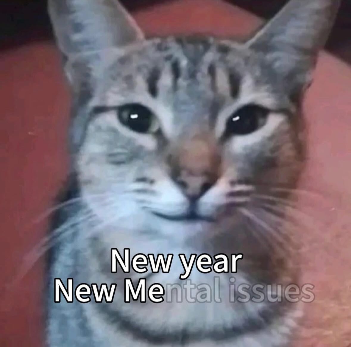 Hello, it's me. Yes, I'm still alive.
Happy New Year.