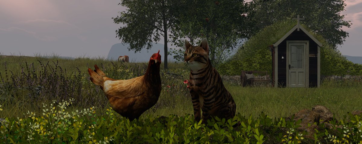 Susann DeCuir tweet media