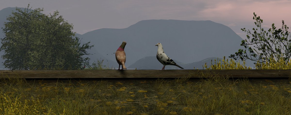 Susann DeCuir tweet media