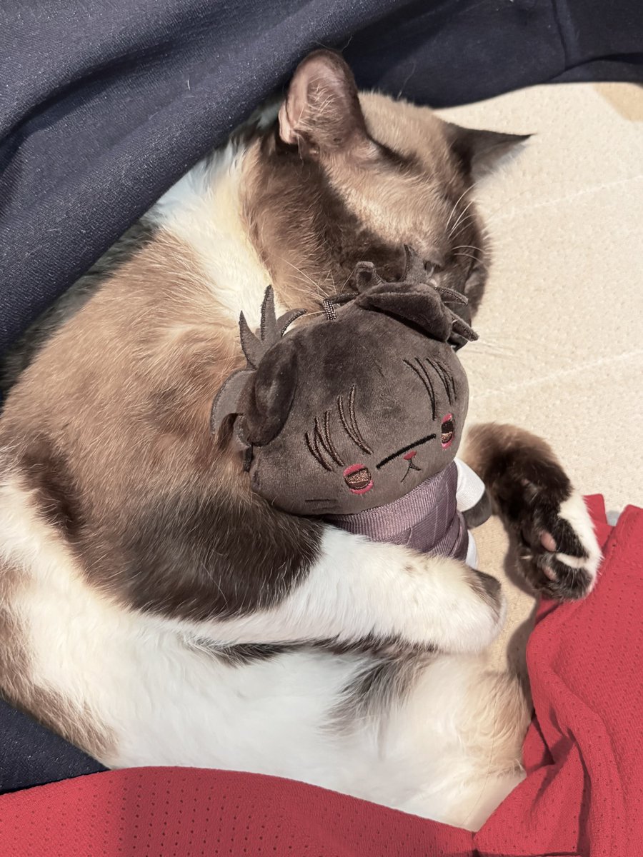 chososm's tweet image. ??