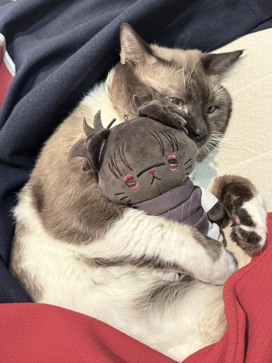 chososm's tweet image. ??