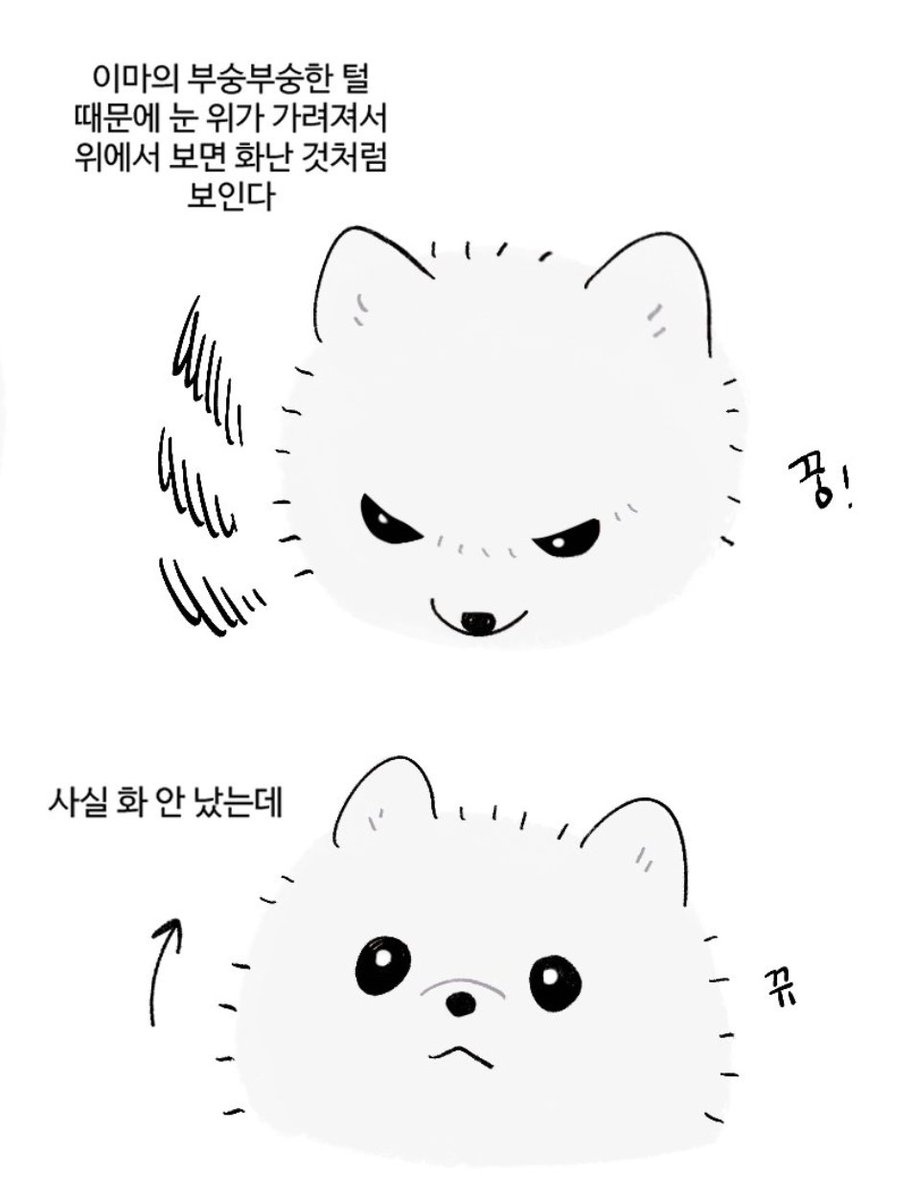 AlwayS2plli's tweet image. 완전 똑같네ㅋㅋㅋㅋㅋㅋㅋ