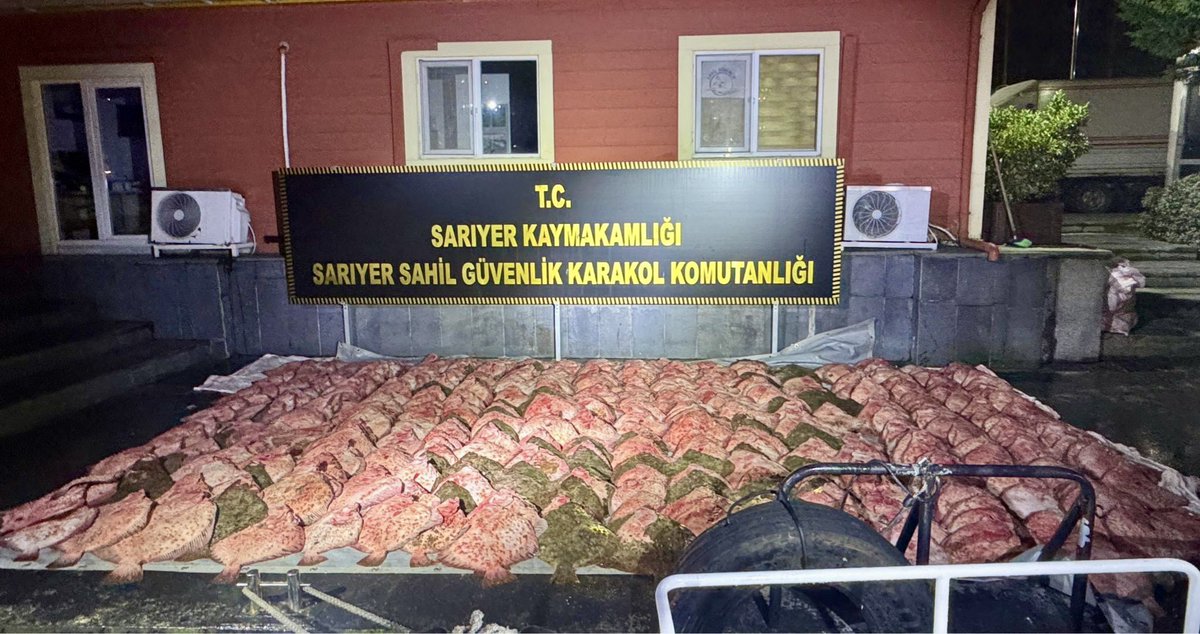 bsgmtr's tweet photo. 🐟 Karada ve denizlerimizde yasadışı kalkan avcılığına karşı sahadayız.

🚨 @sahilguvkom ve @isttarimorman su ürünleri kontrol ekiplerimizin koordineli çalışmalarıyla yapılan denetimlerde; 1,8 ton kalkan balığına el konulmuş, sorumlulara 1380 sayılı Su Ürünleri Kanunu kapsamında idari para cezası uygulanarak, ilgili gemi 1 ay süreyle avcılıktan men edilmiştir.

💦 Su ürünleri kaynaklarımızı korumaya yönelik denetimlerimiz kararlılıkla sürecektir.

@TCTarim