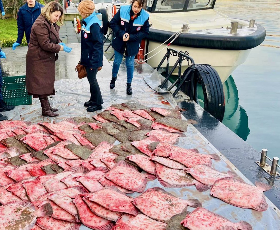 bsgmtr's tweet photo. 🐟 Karada ve denizlerimizde yasadışı kalkan avcılığına karşı sahadayız.

🚨 @sahilguvkom ve @isttarimorman su ürünleri kontrol ekiplerimizin koordineli çalışmalarıyla yapılan denetimlerde; 1,8 ton kalkan balığına el konulmuş, sorumlulara 1380 sayılı Su Ürünleri Kanunu kapsamında idari para cezası uygulanarak, ilgili gemi 1 ay süreyle avcılıktan men edilmiştir.

💦 Su ürünleri kaynaklarımızı korumaya yönelik denetimlerimiz kararlılıkla sürecektir.

@TCTarim