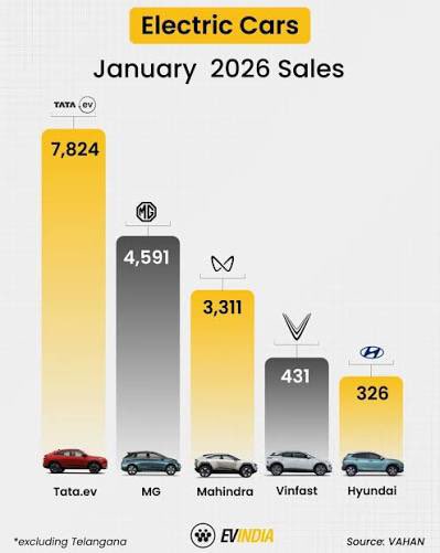 Cata Paul 🃏 tweet media