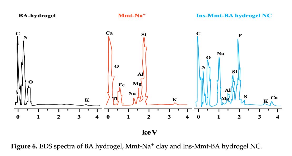 Elisabeth Bik tweet media