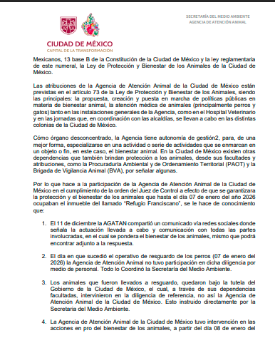 Lucía Hernández | Amo La Ciencia tweet media