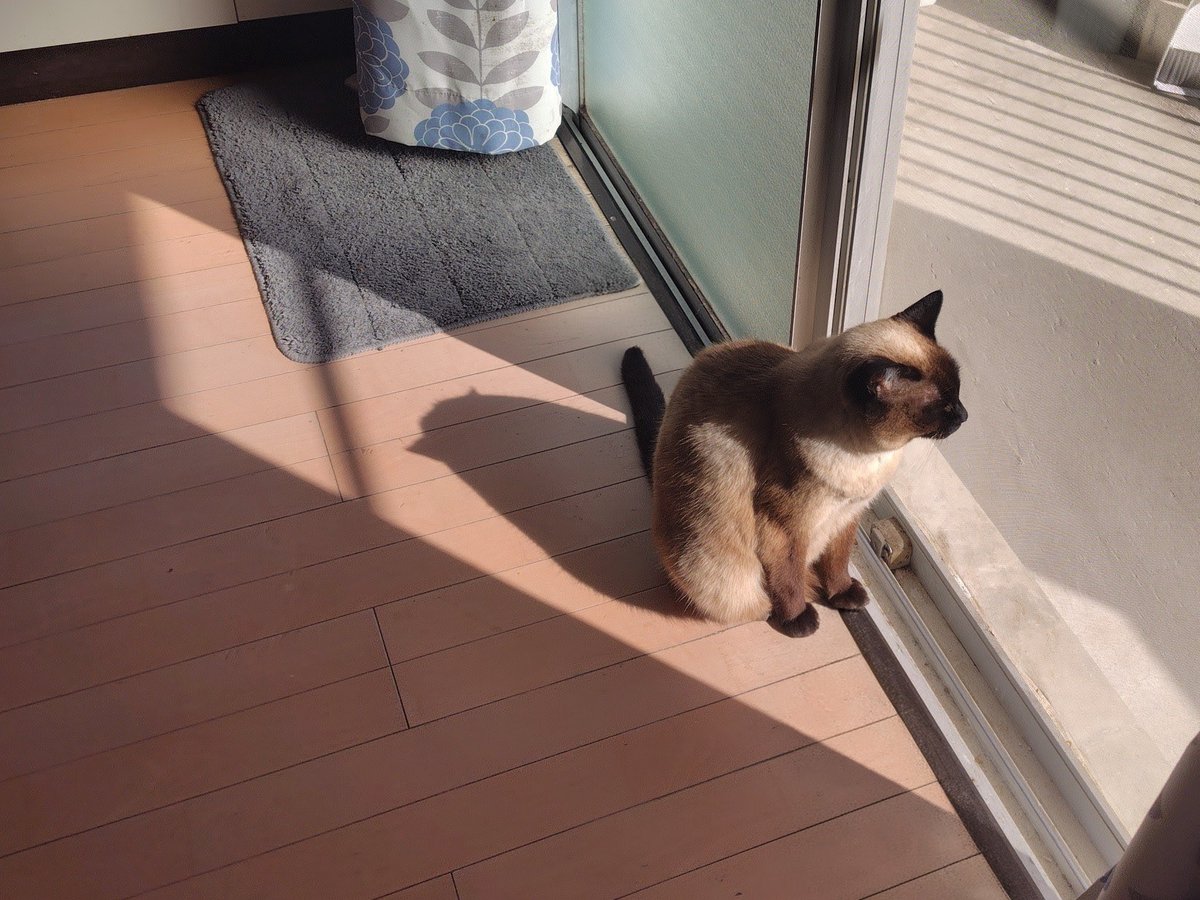 影の形がかわいすぎる！！！
なにこれ、だるま？？ww