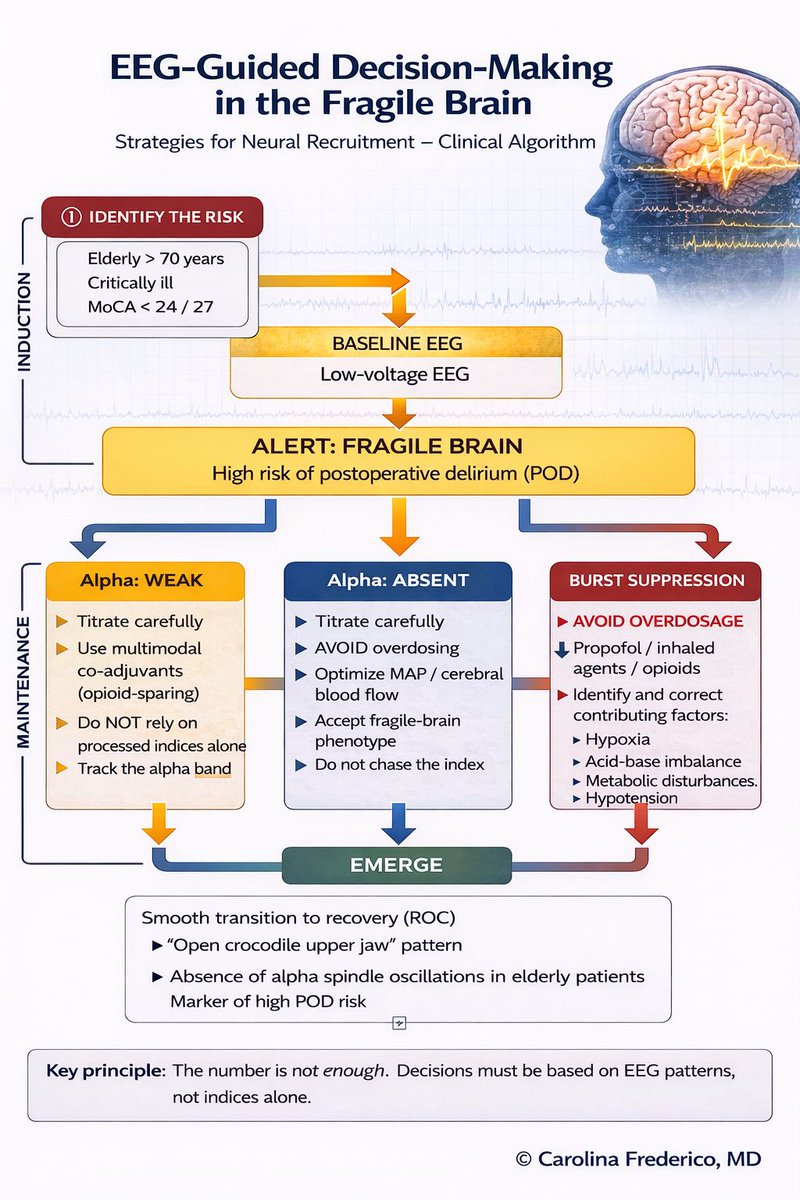 sedar_es's tweet image. #DocenciaSEDAR 
👉 EEG-guided anesthesia in the elderly: Where is the real challenge?

⚠️ El cerebro frágil no se comporta igual.
Una correcta interpretación del EEG marca la diferencia en el paciente mayor.

Aquí una infografía para ayudarte.