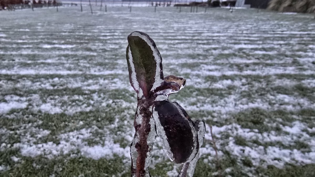 Meteo Roodeschool tweet media