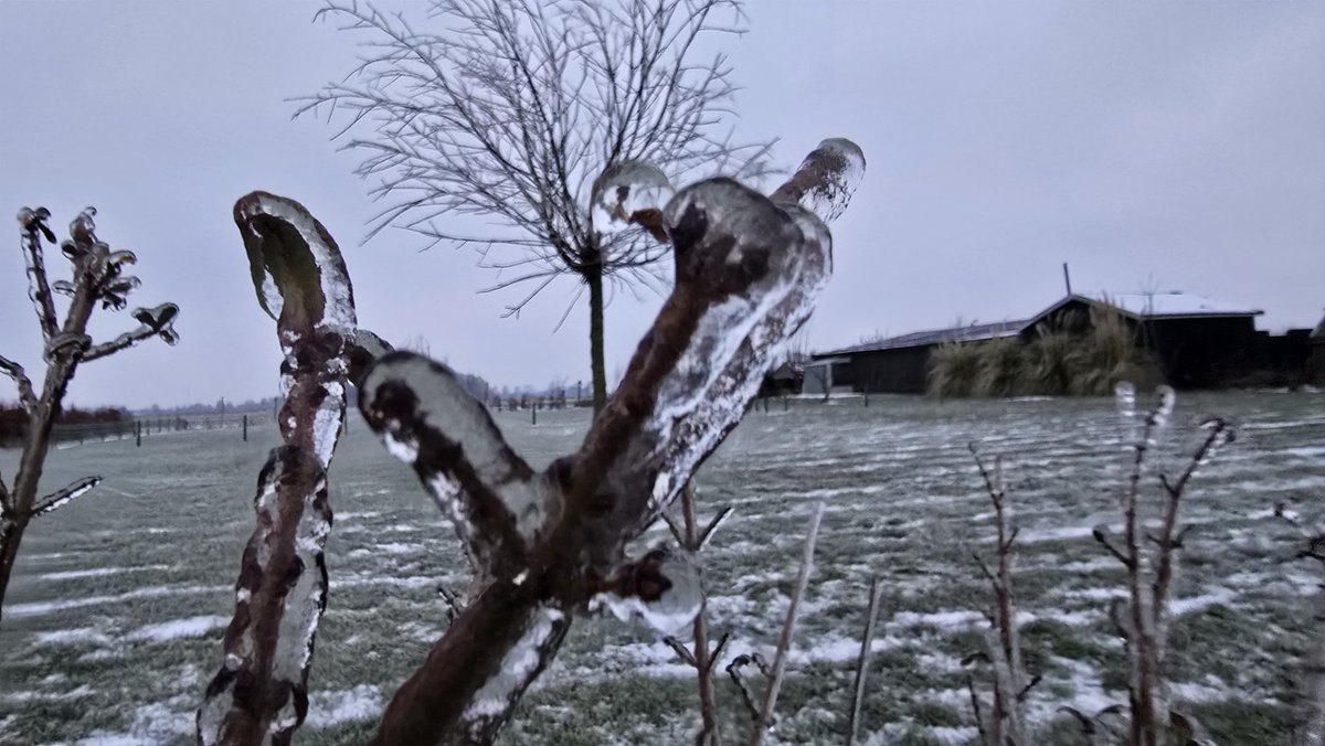 Meteo Roodeschool tweet media