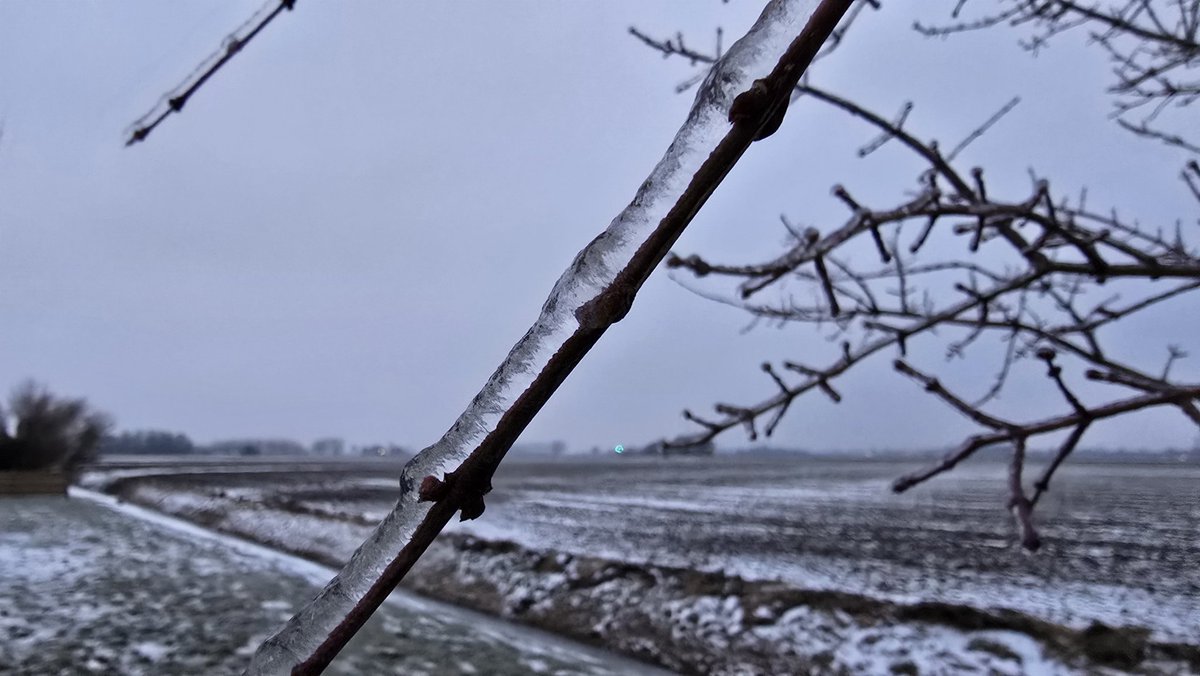 Meteo Roodeschool tweet media