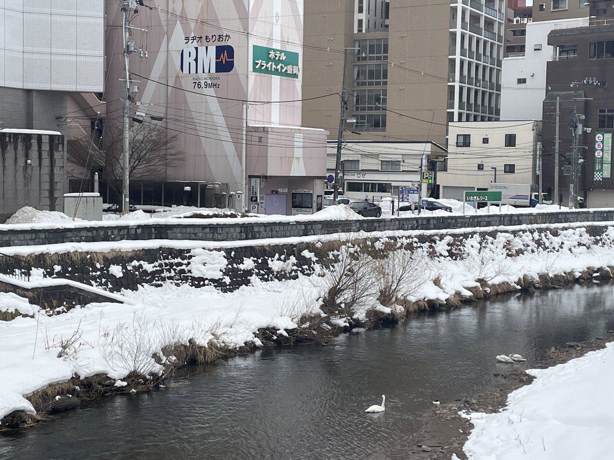 2/4(水)
このあと16:31〜 📶
FM76.9MHz ラヂオもりおか
『EVENING STROLL』です！📻

一週間空きまして、久しぶりのリバーサイドスタジオ
中津川には白鳥さんが🦢

リスラジ(ListenRadio)のアプリから視聴できます♪
apps.apple.com/app/id14601297…

メッセージもお待ちしています✉️
radiomorioka.co.jp/requestandmess…