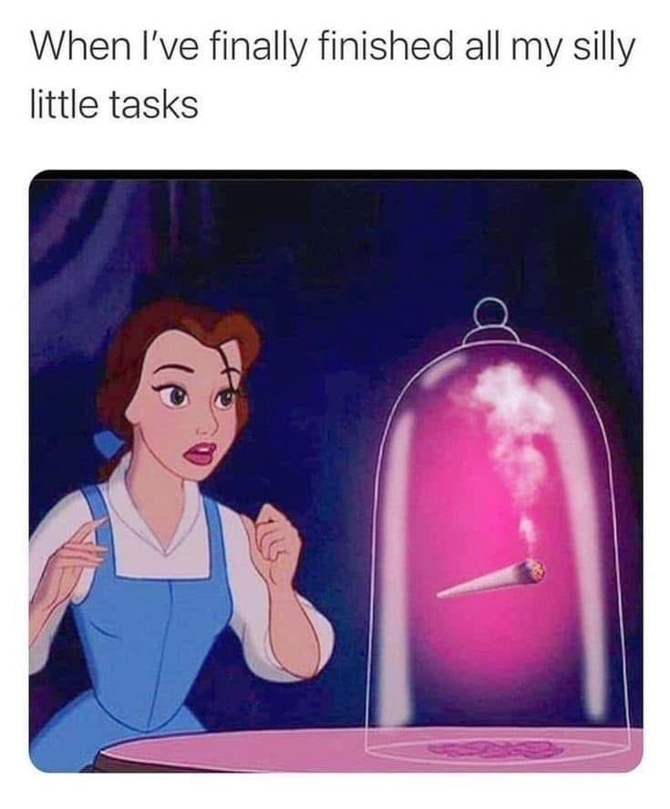 🌸🌿 𝑨𝒍𝒍𝒊𝒆 🌿🌸 tweet media