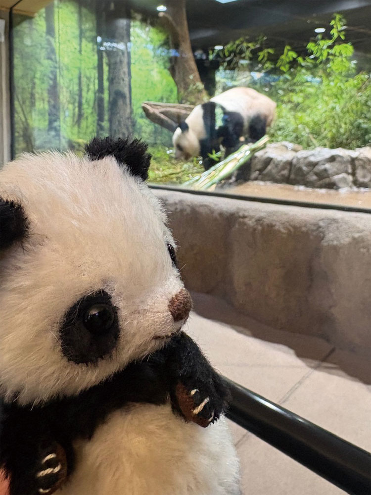 しろくろや (@shirokuro_ya) / Posts / X