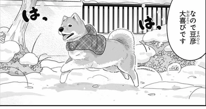 発売中のジャンプSQ.3月号に『カワイスギクライシス』載せてもらってます。

雪の積もった日、大はしゃぎの愛犬たちを連れてドッグランへ!
一方猫カフェではミトラが新たな仕事を任され、冬の猫たちを激写!?
という二本立てです。

楽しんでもらえたら嬉しいです。
どうぞよろしくお願いします! 