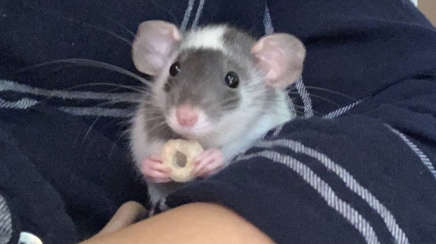 Me eating while watching youtube