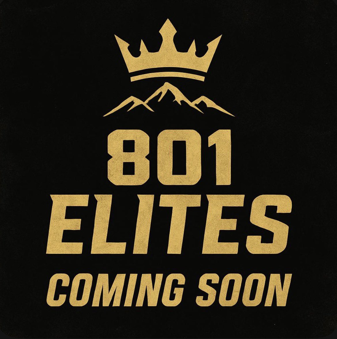 801Elites's tweet photo. 🚨 Attention young athletes in West Jordan, Herriman, South Jordan, &amp; nearby areas! 🌟 

Join us for FREE tryouts on March 28 from 1-3 PM at Constitution Park (1985 W 7800 S, West Jordan, UT)! 🏈 

Open to U13 &amp; U14 players. Show us your skills and be part of the 801 Elites! https://t.co/egfFPGrwHW