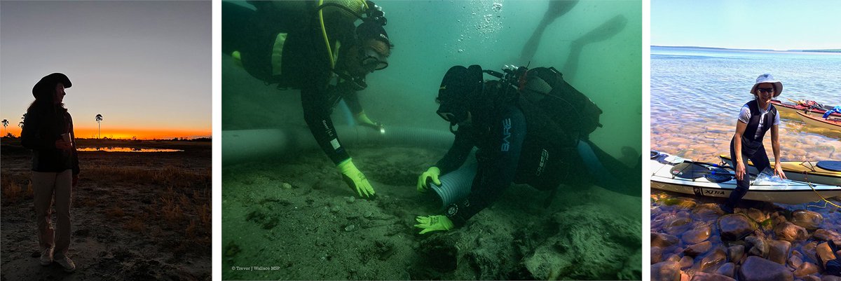 BD8 Capital Partners tweet media