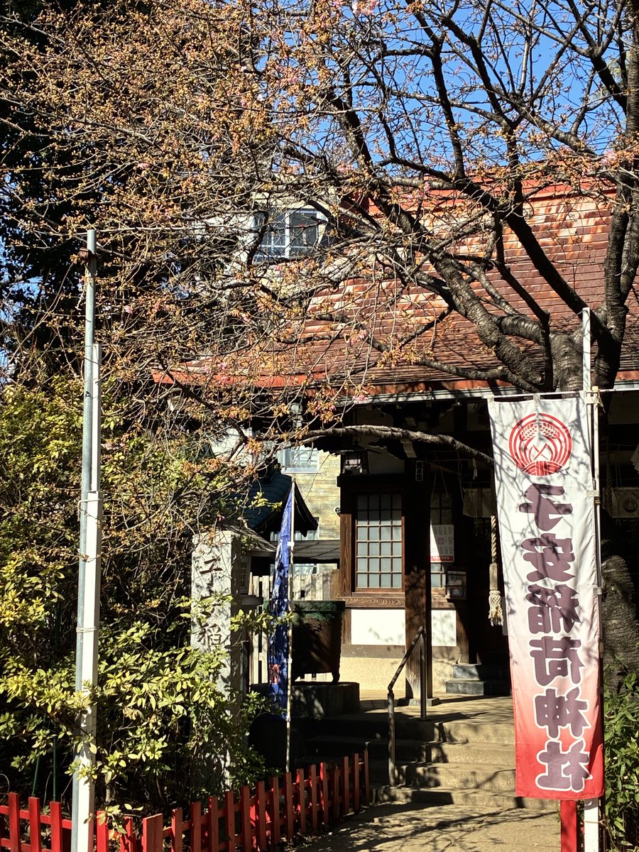 koyasuinari's tweet photo. 境内の河津桜が咲き始めました。
まだまだ寒い日が続きますが、ひと足先に春の訪れを感じさせてくれます。

#子安稲荷神社
#桜
#河津桜 https://t.co/mCB7V2tfI9