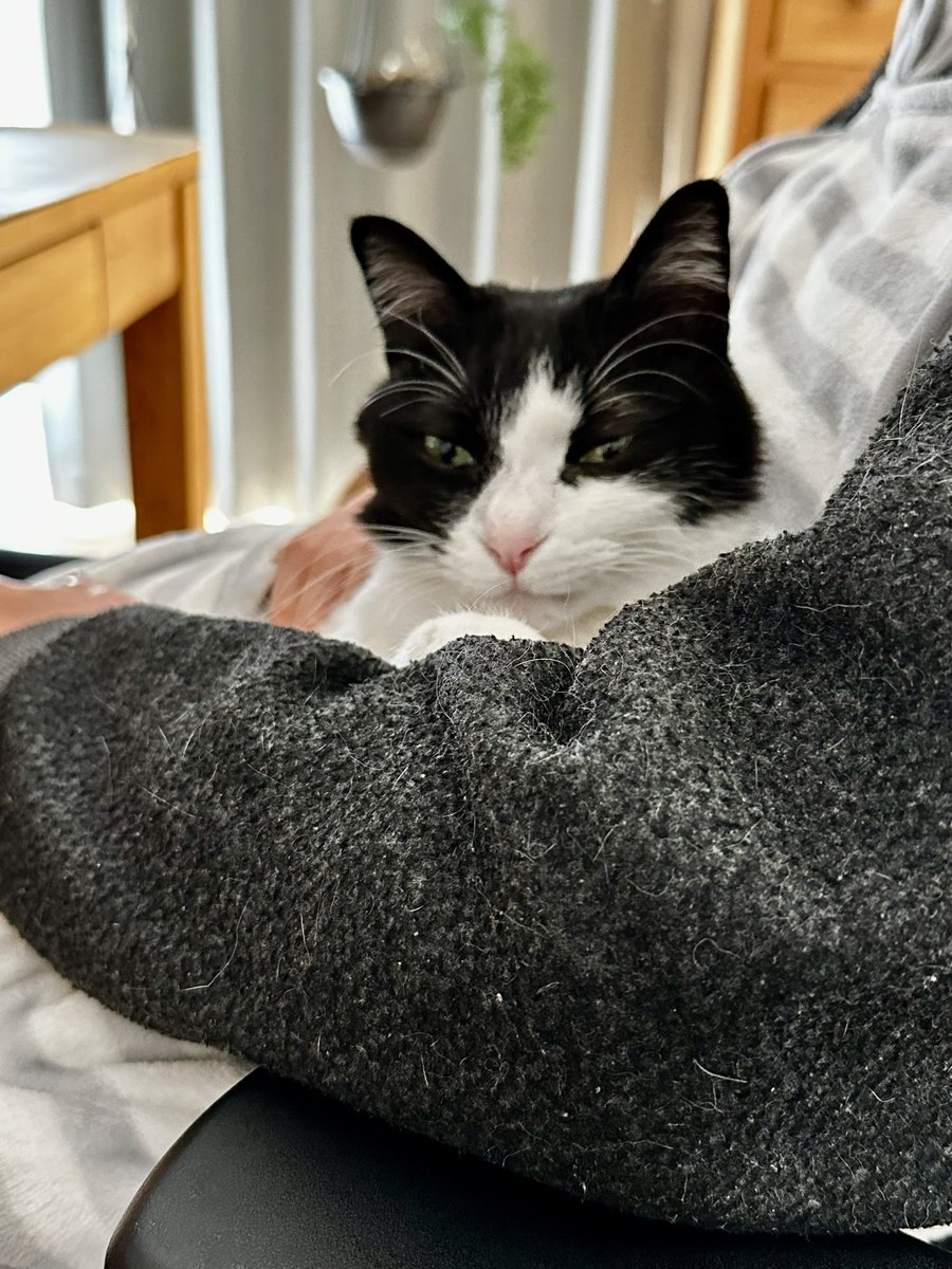 あさひ (@asahiFleetNeko) on X