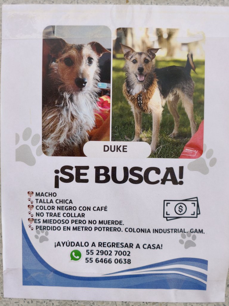 Juan Martínez tweet media