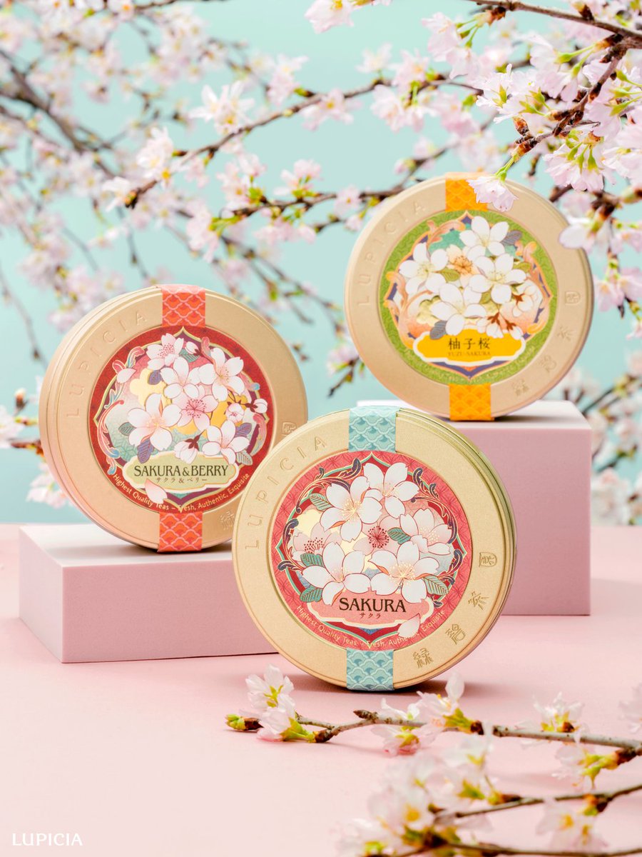 茶菓子盆　透かし紅葉に桜花弁　新品未使用箱入り 🌸春のはじまりは、#桜のお茶 とともに🕊 先行予約受付中！ 満開の大島