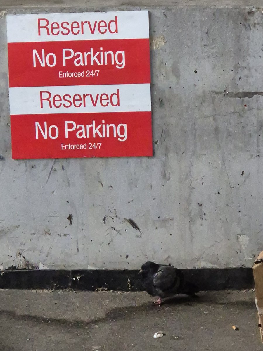 Can't park there mate