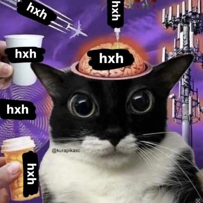 Hunter x Hunter (@hxhvizuals) on Twitter photo 