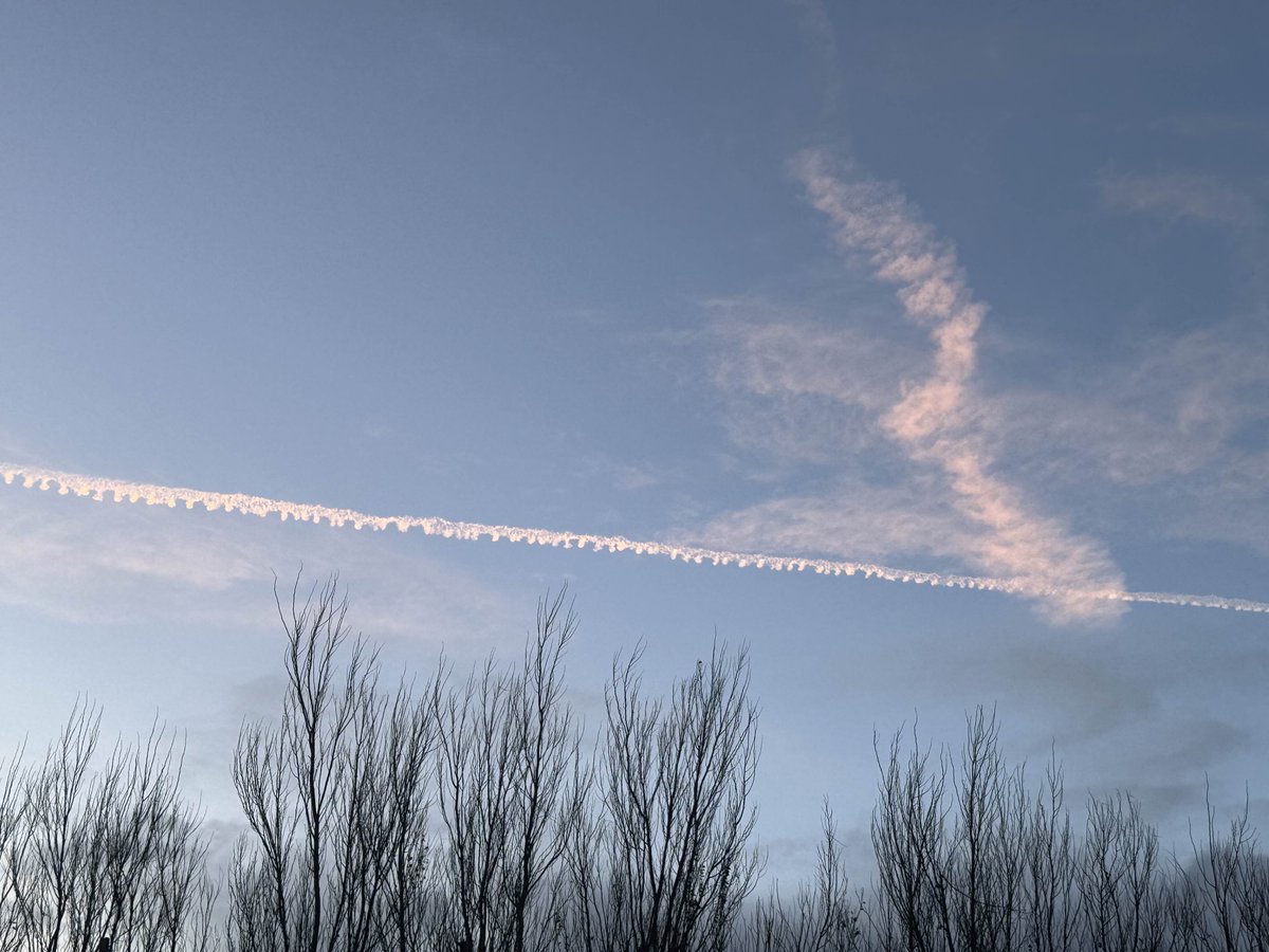 ◦•●♡ V ⊬ ♡●•◦ tweet media