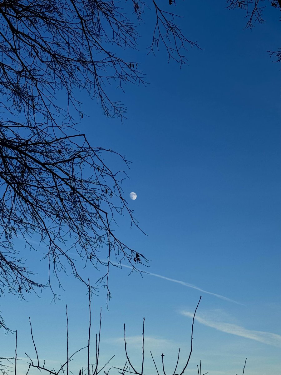 ◦•●♡ V ⊬ ♡●•◦ tweet media