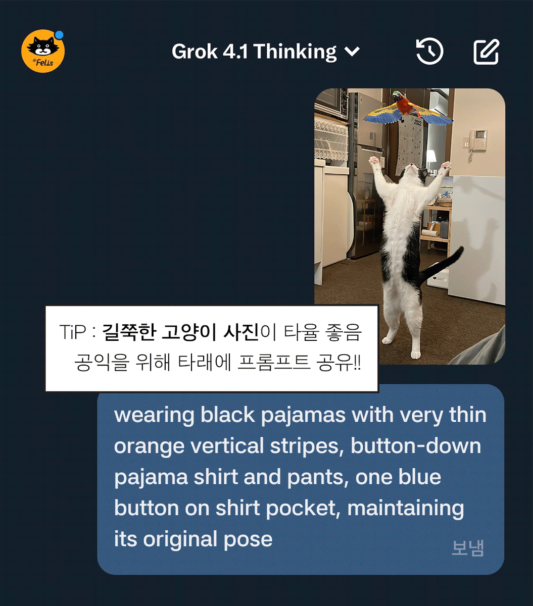 닥터펠리스 Dr.felis tweet media