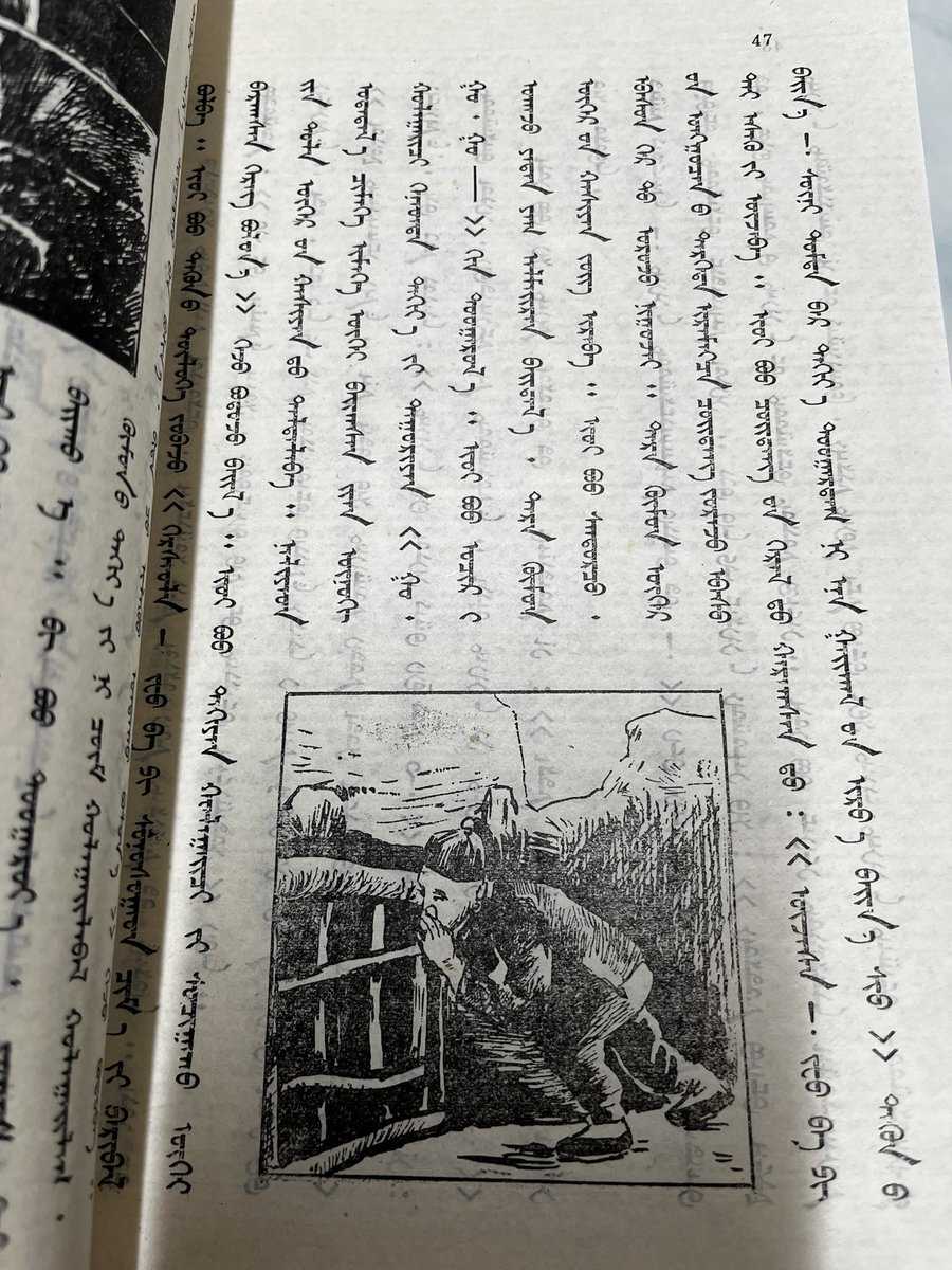 楊海英(Oghonos Chogtu＝Yang Haiying） tweet media