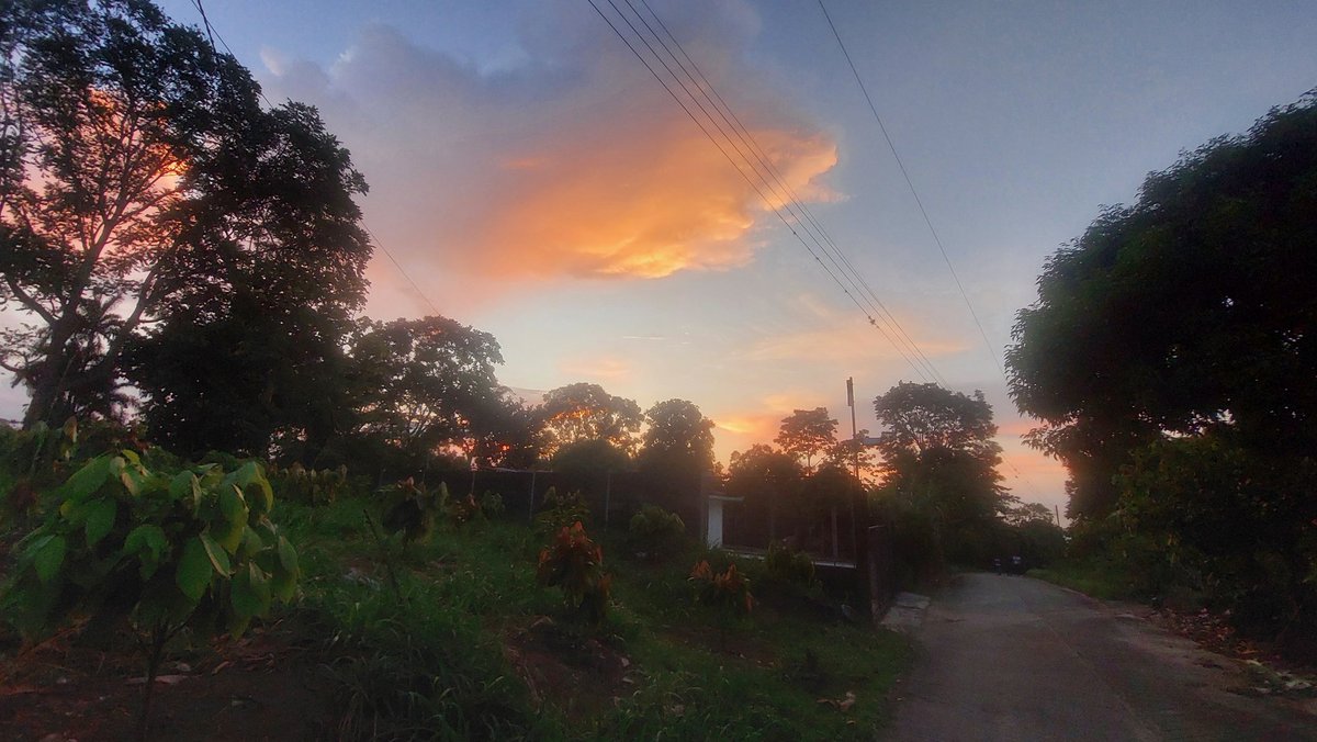 pichispol's tweet photo. BELLOS ATARDECERES https://t.co/W4LeqwPH4F