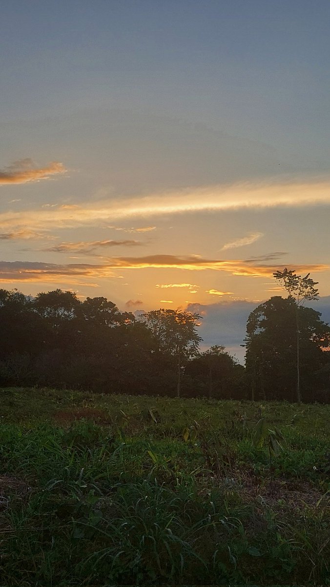 pichispol's tweet photo. BELLOS ATARDECERES https://t.co/W4LeqwPH4F