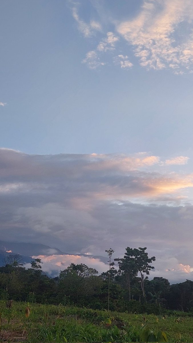 pichispol's tweet photo. BELLOS ATARDECERES https://t.co/W4LeqwPH4F