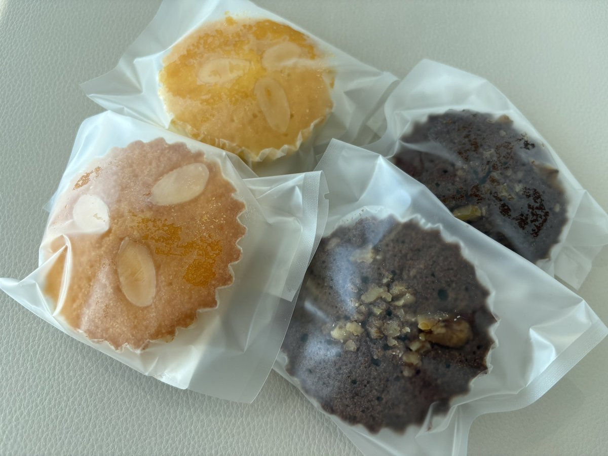 【レア】サマテリーヌ　ヴィンテージ　カタログ　まとめ売り【希少】 藤沢市役所】1階は只今、期日前投票に訪れた皆さんの長蛇の列が