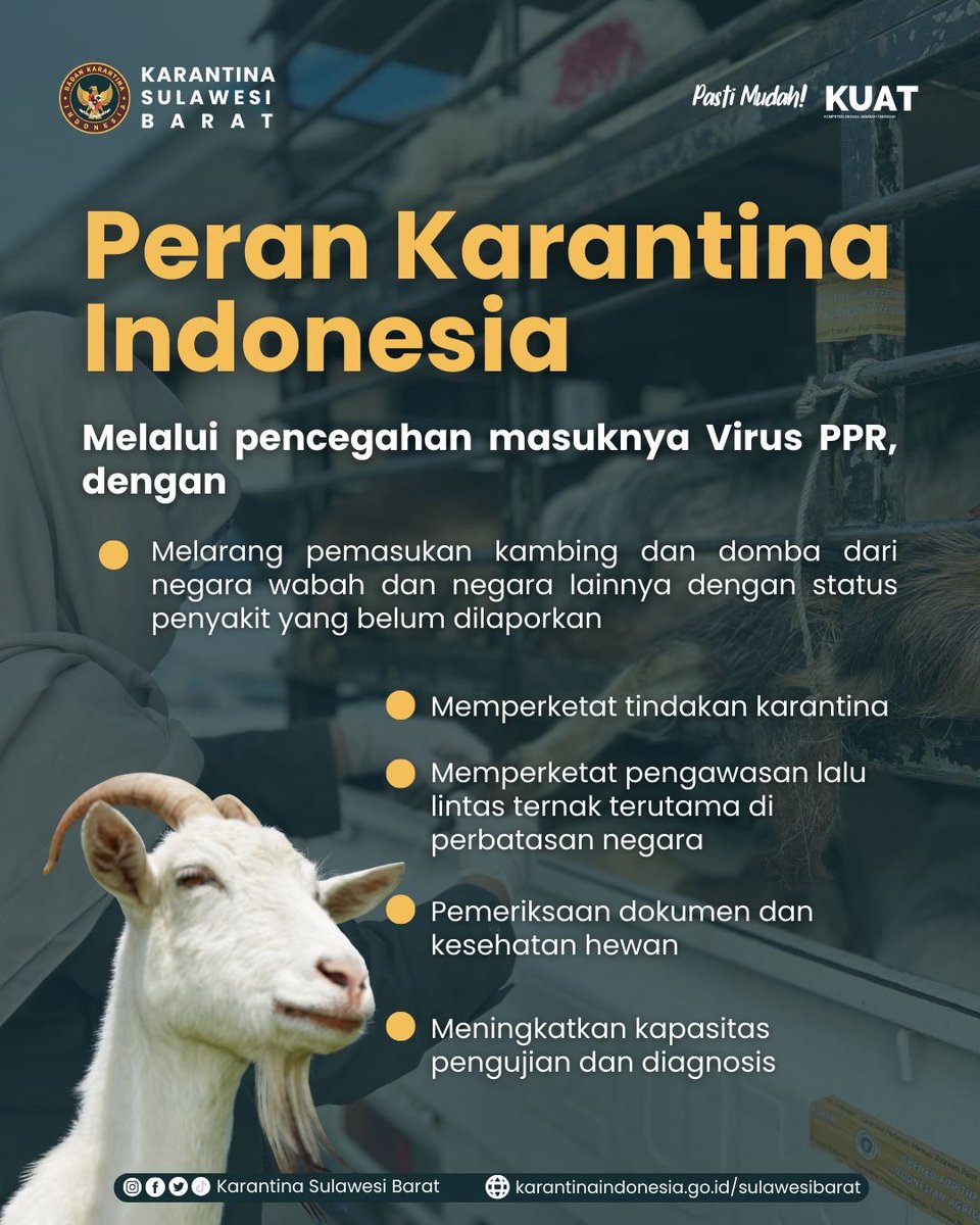 ⚠️ Waspada dan kenali PPR! ⚠️

Peste des Petits Ruminants (PPR) adalah penyakit menular berbahaya pada kambing dan domba yang bisa menyebar dengan sangat cepat. Berpotensi menimbulkan kerugian ekonomi yang besar.

Yuk, bersama cegah PPR!

#PPR #WaspadaPPR #CegahPenyakitHewan