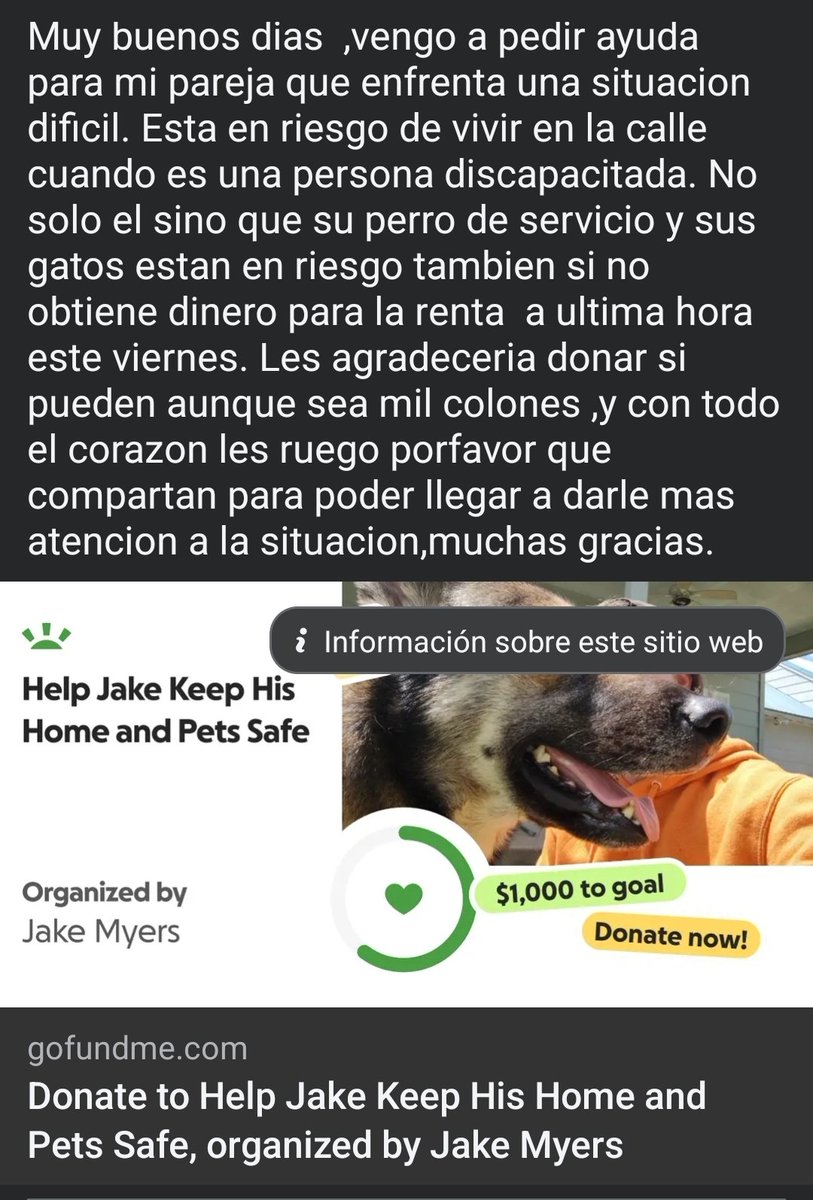 🐆☕️🏳️‍⚧️🇨🇷B i N g U s 🐺💖🐱 tweet media