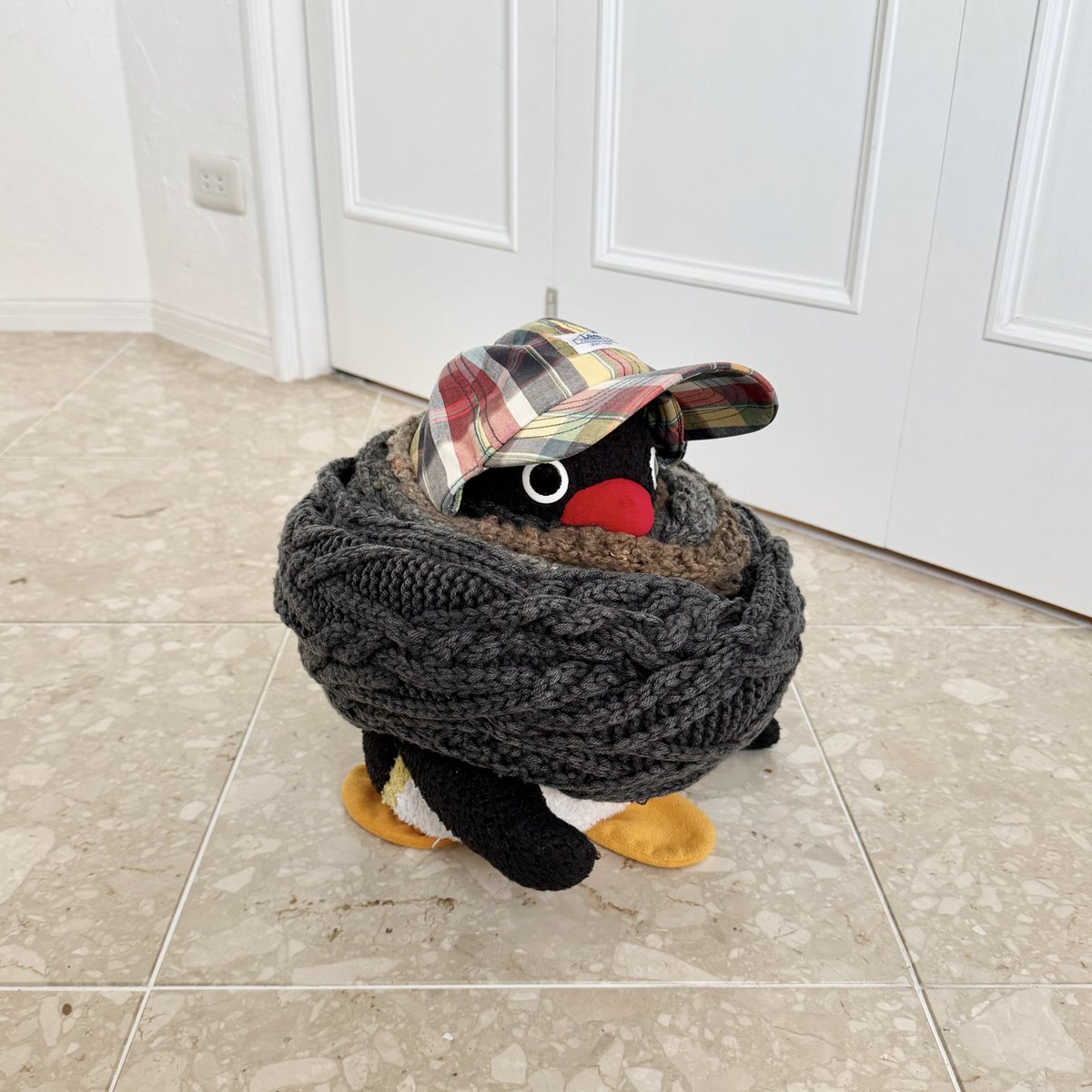 pingmyping's tweet photo. 🐧🧣 https://t.co/sjOxkU4jS7