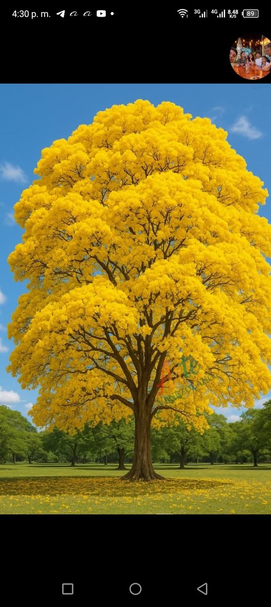pichispol's tweet photo. Hermosa naturaleza https://t.co/1HjWr3b8kt