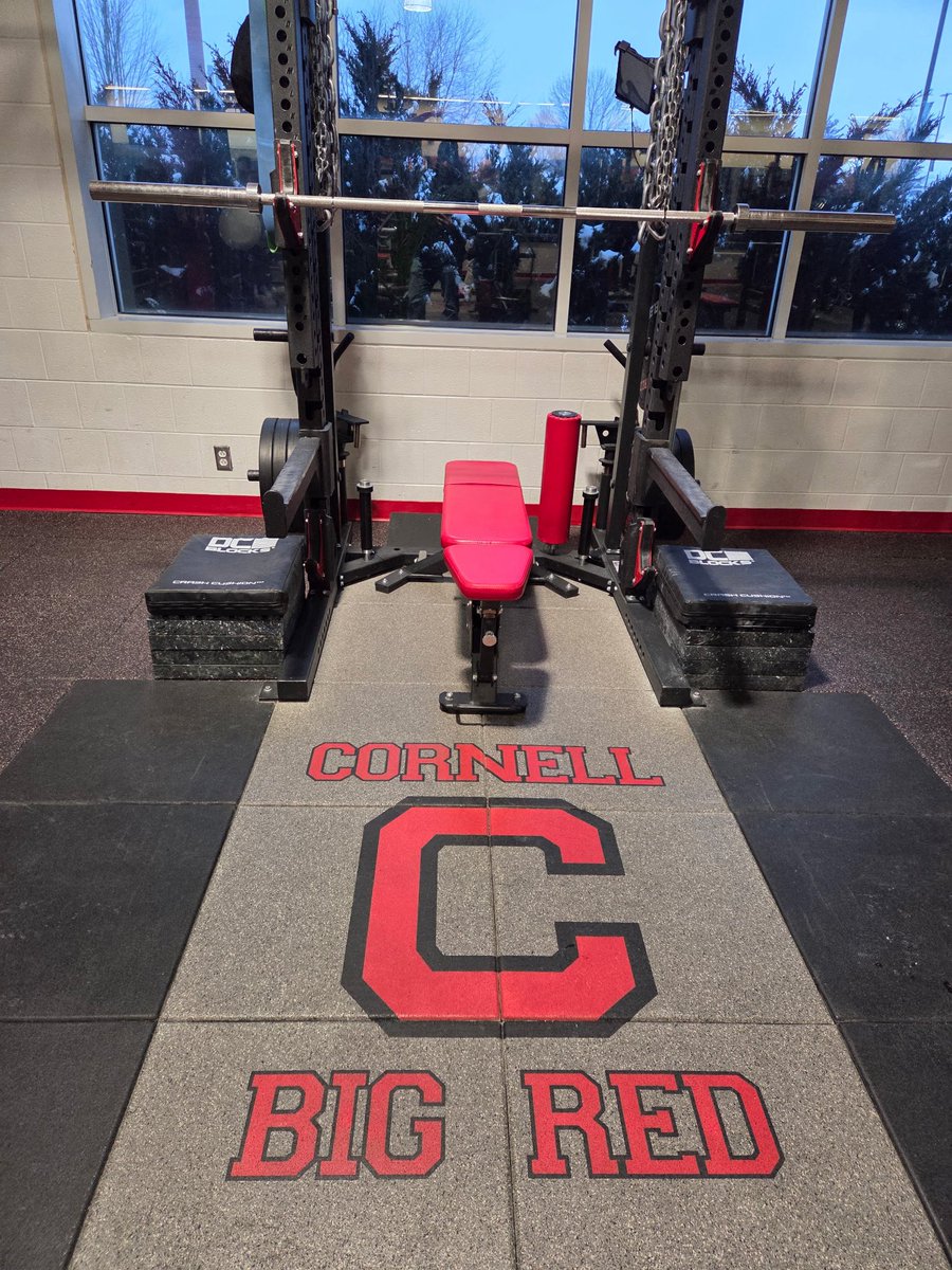 Ethan Johnson tweet media